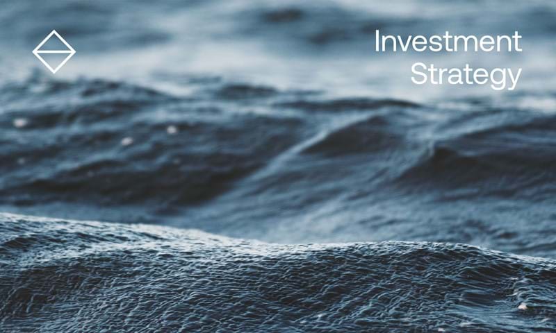 Investment Strategy