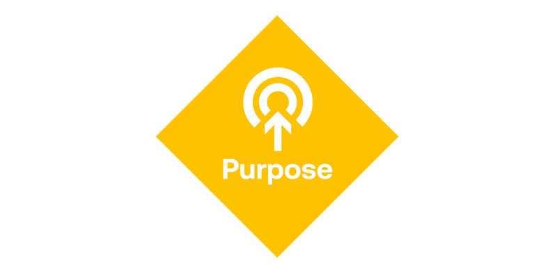 Purpose infographic