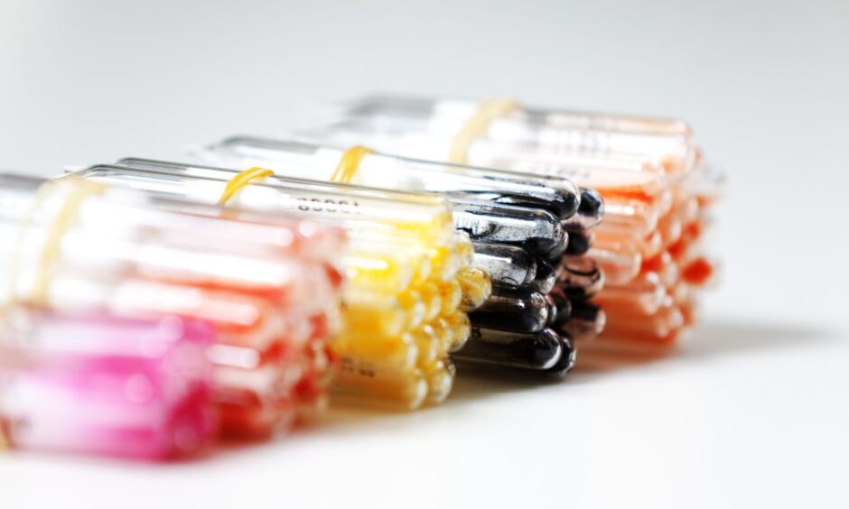 Bacteria from NCIMB Lab