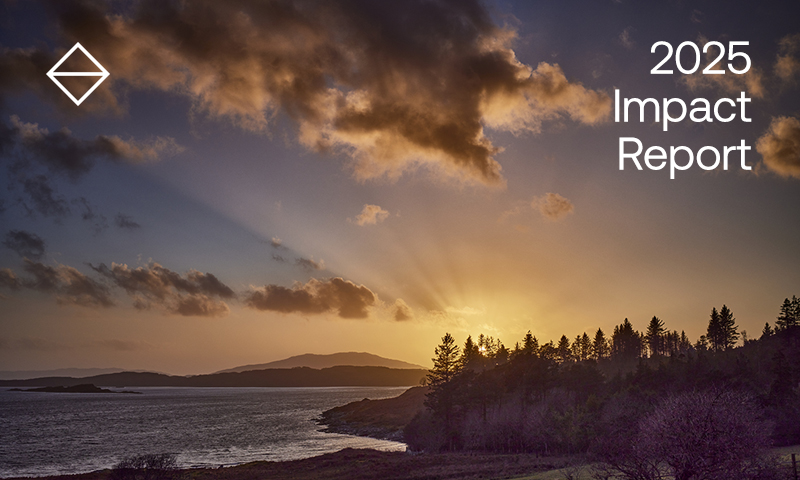 2025 Impact Report