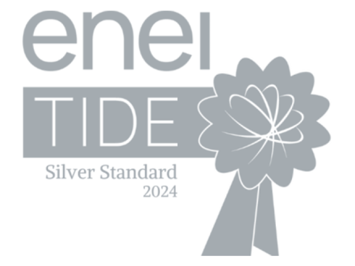enei tide logo