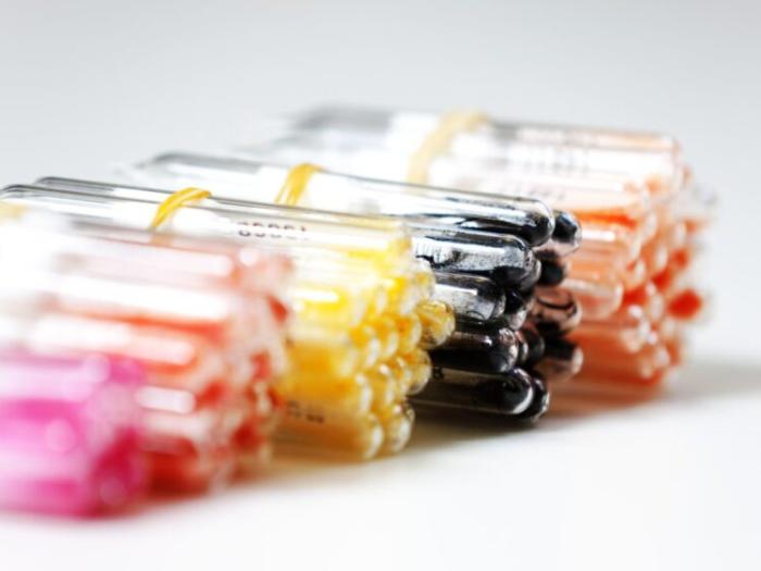 Bacteria from NCIMB Lab