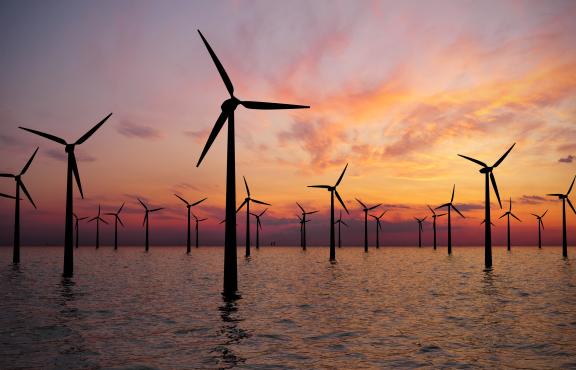 floating wind farm sunset
